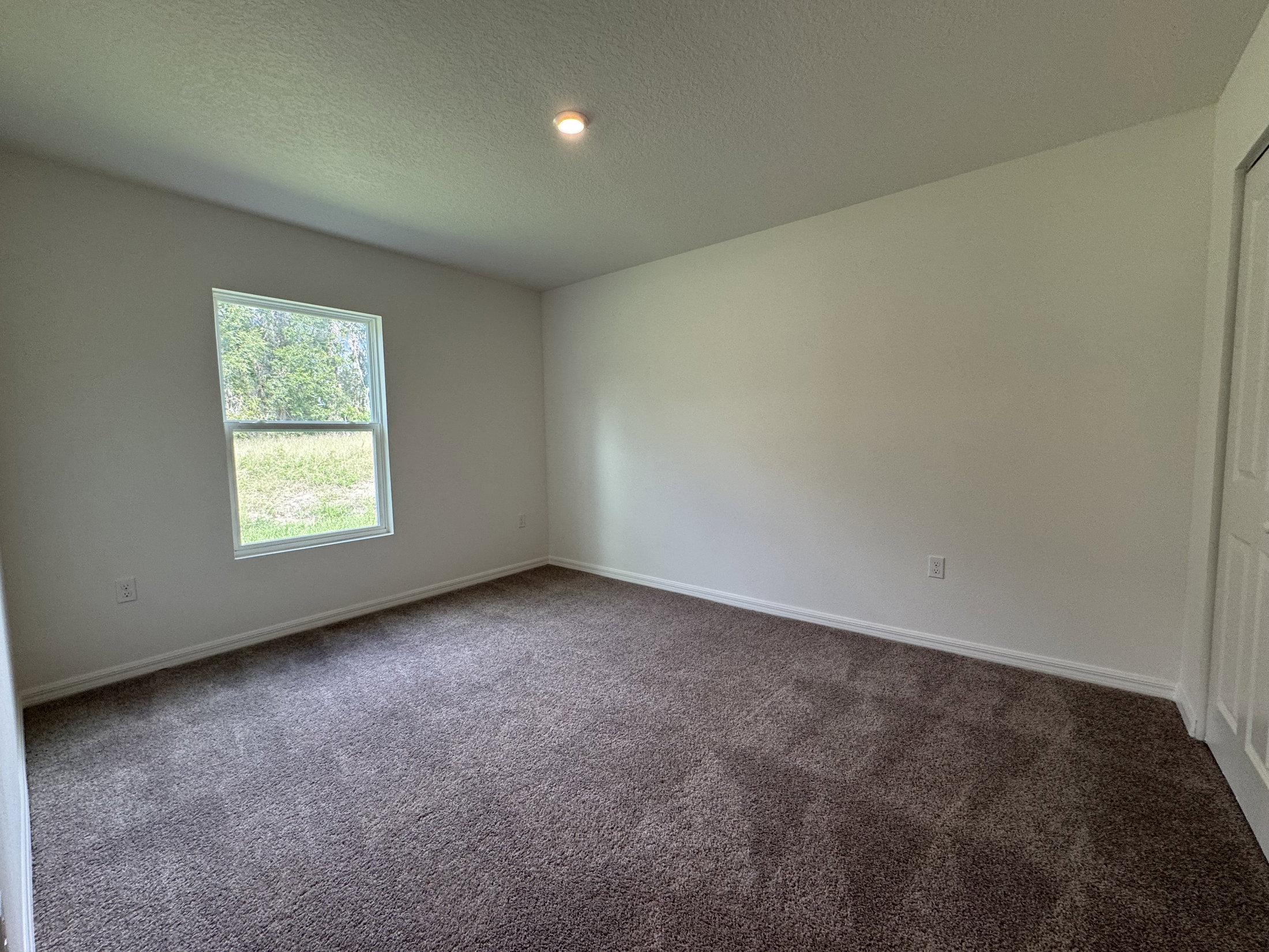 Empty room with carpeted floor and a window letting in natural light.
