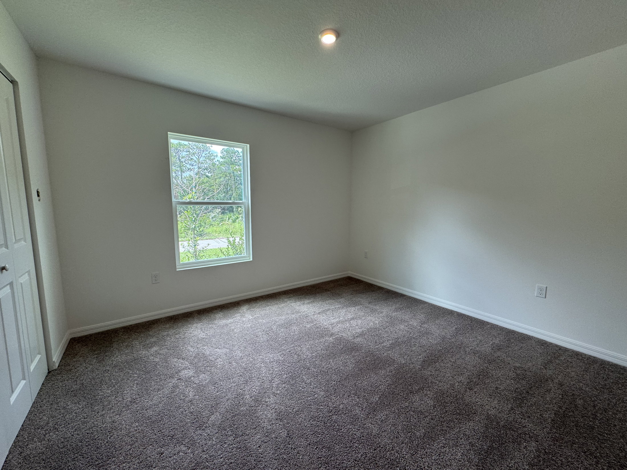 Empty room with gray carpet, a window letting in natural light, and a white door.