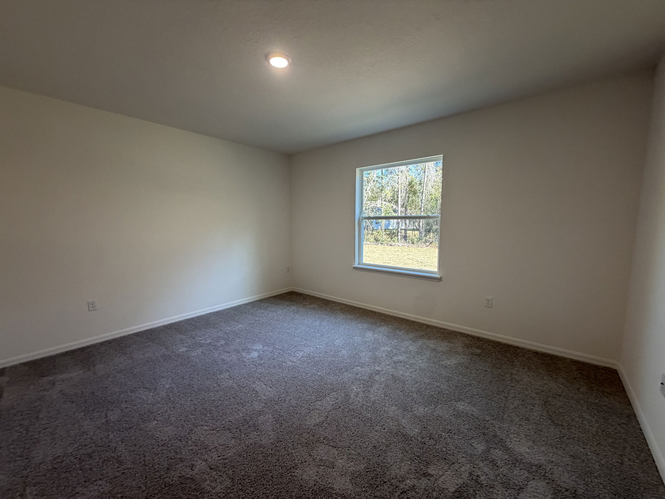 Spacious, empty bedroom with light gray carpet and large window overlooking greenery.