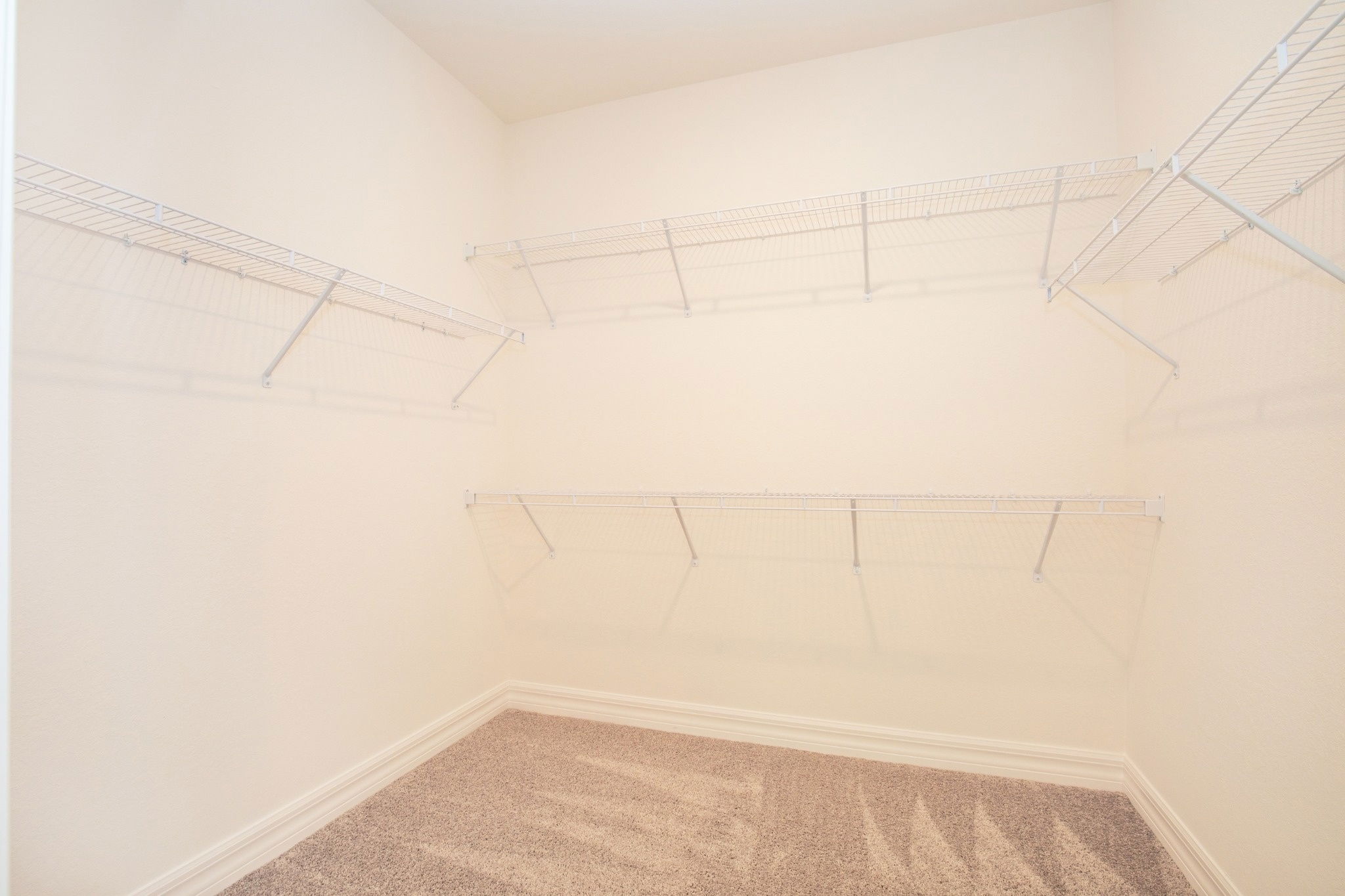 Empty walk-in closet with white wire shelves and carpeted floor.