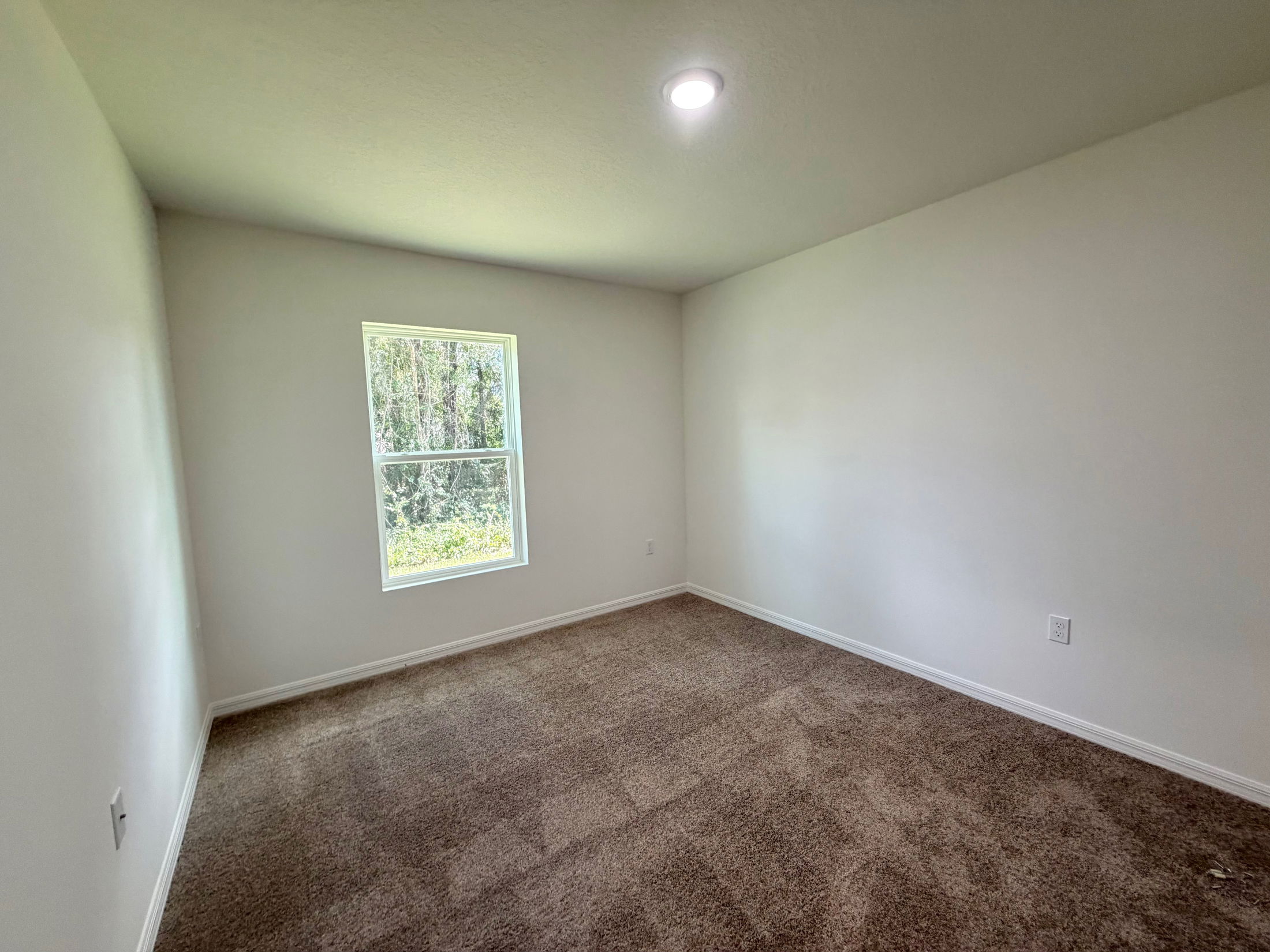 Empty room with beige carpet and a single window, ideal for a cozy bedroom setup.