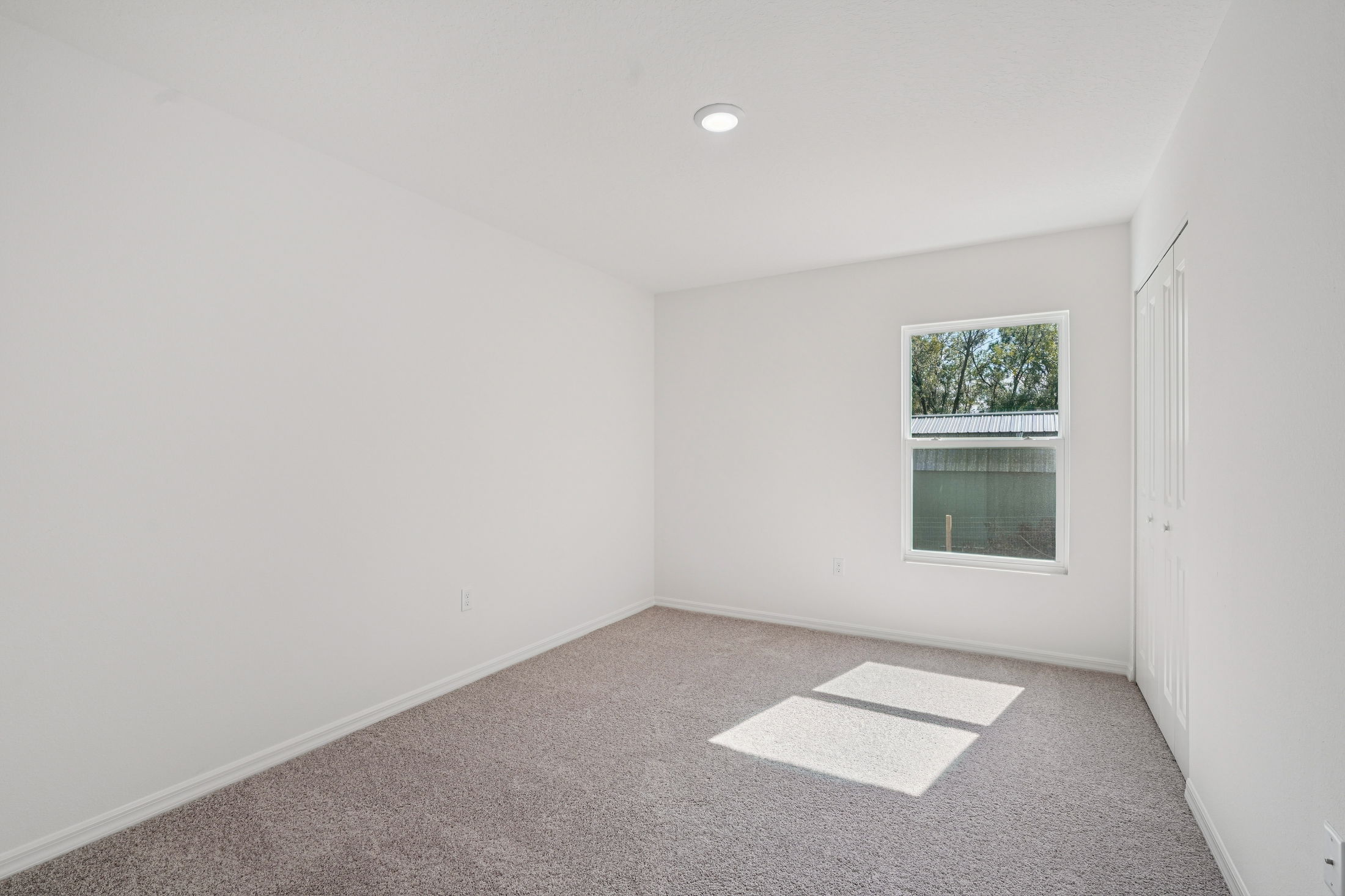 Bright and airy empty room with soft beige carpet and large window letting in natural light.