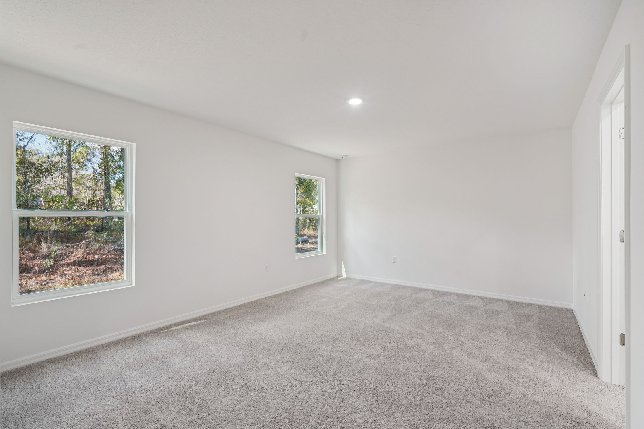 Bright and spacious interior of a modern room with large windows, soft carpet flooring, and neutral walls.