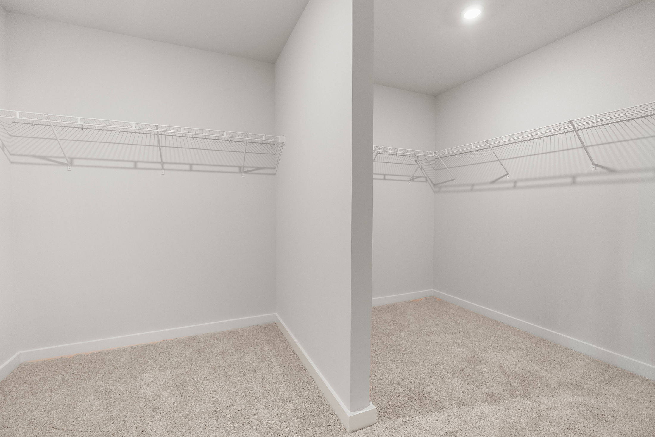 Spacious empty walk-in closet with white wire shelving and carpeted floor.