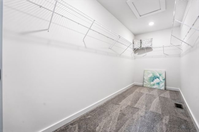Empty walk-in closet with wire shelves, a flower canvas, and light-colored carpet.