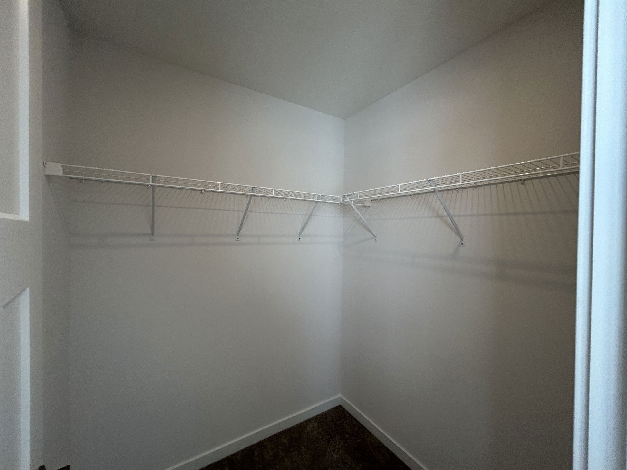 Empty walk-in closet with wire shelving against a plain wall and carpeted floor.