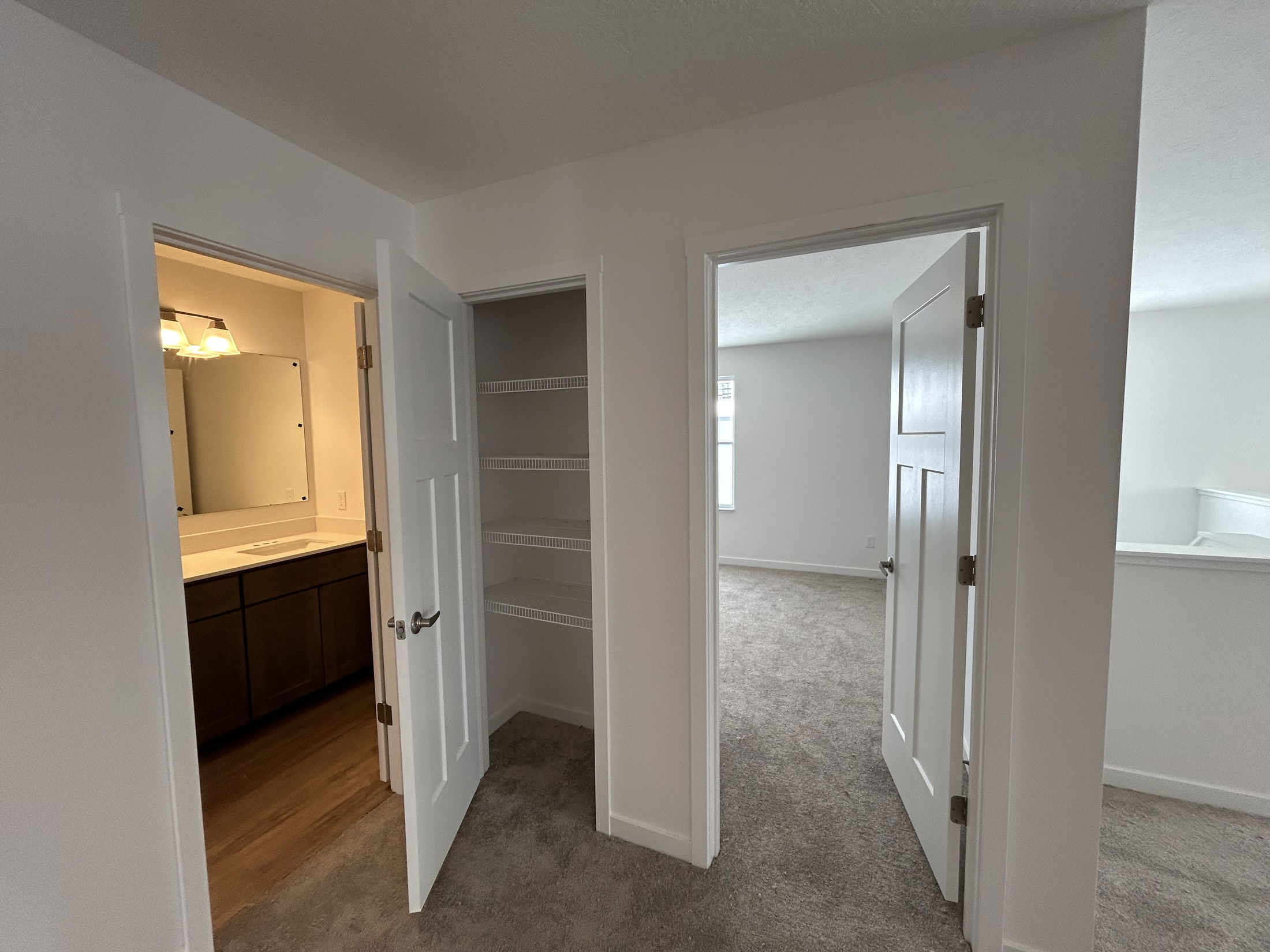 Interior view of a modern bathroom with a vanity and mirror, featuring a linen closet and carpeted hallway in a well-lit home.