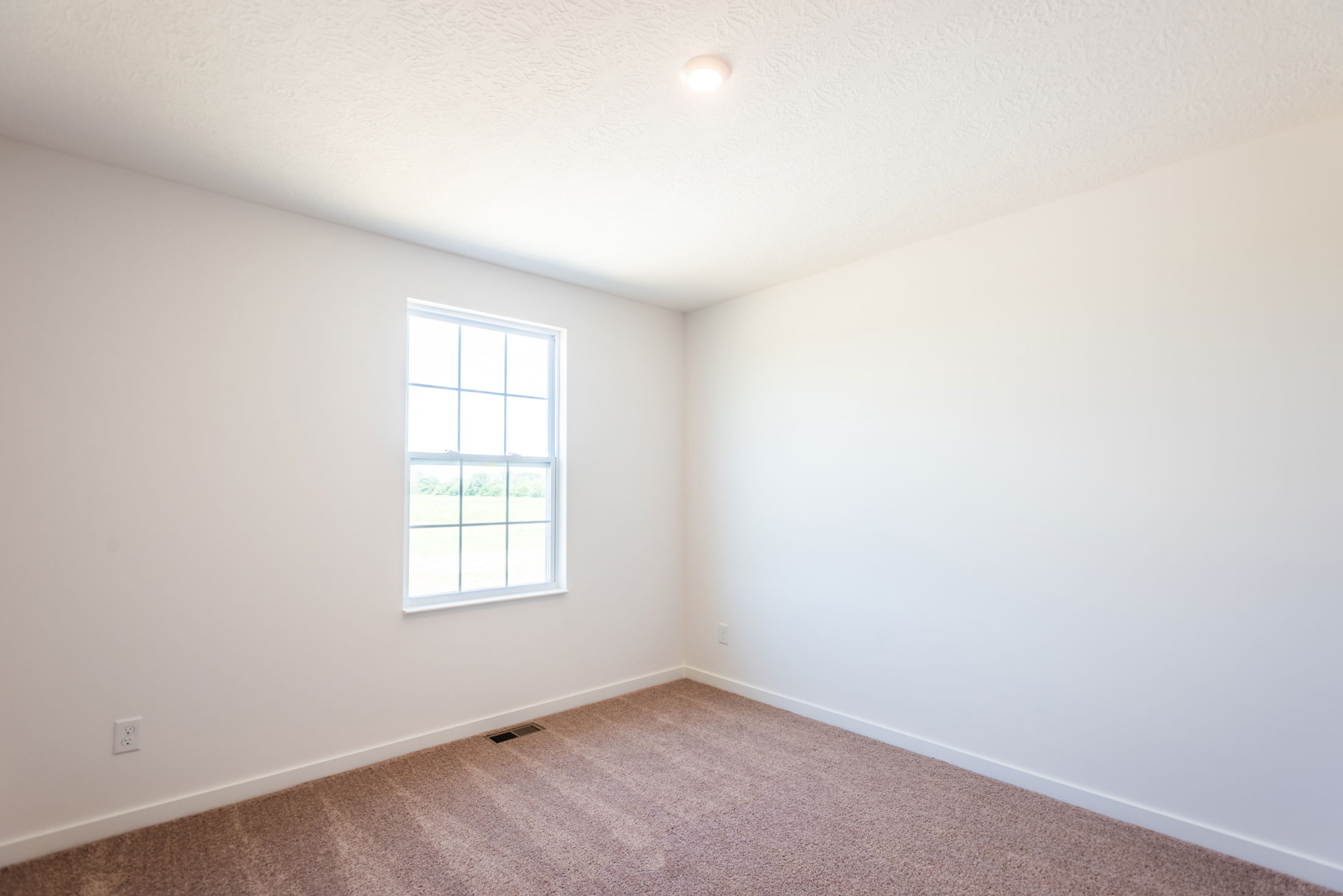 Bright, empty room with beige carpet, white walls, and a window allowing natural light.