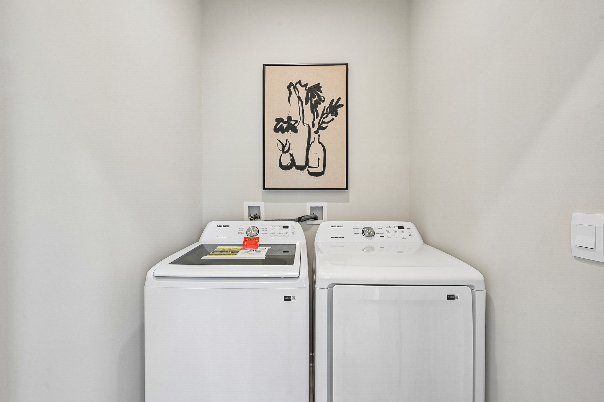 Two laundry appliances side by side in a bright room with a minimalist wall art piece featuring a line drawing of a vase with plants.
