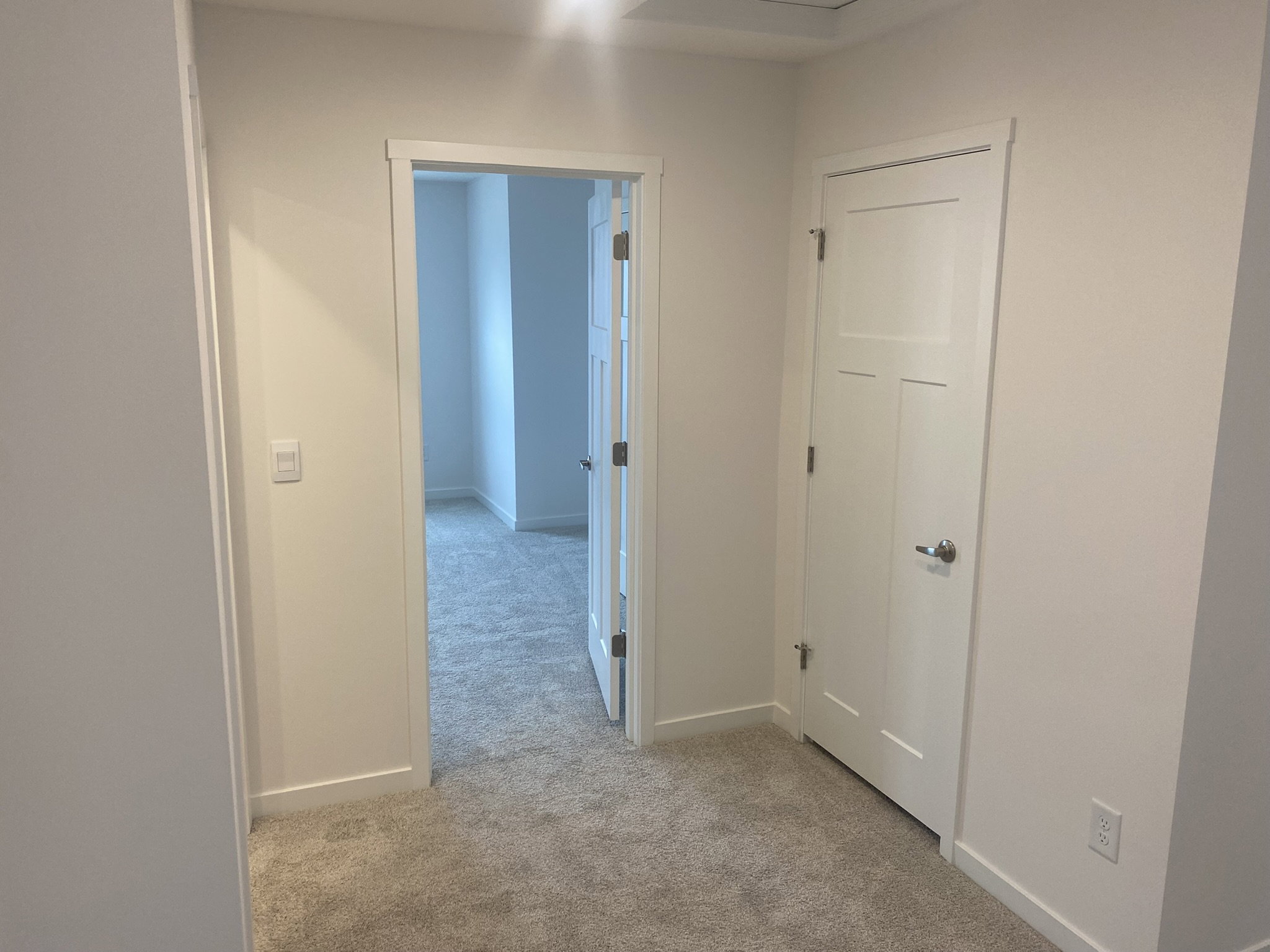 A well-lit hallway featuring beige carpet, a closed white door, and an open door leading to another room.