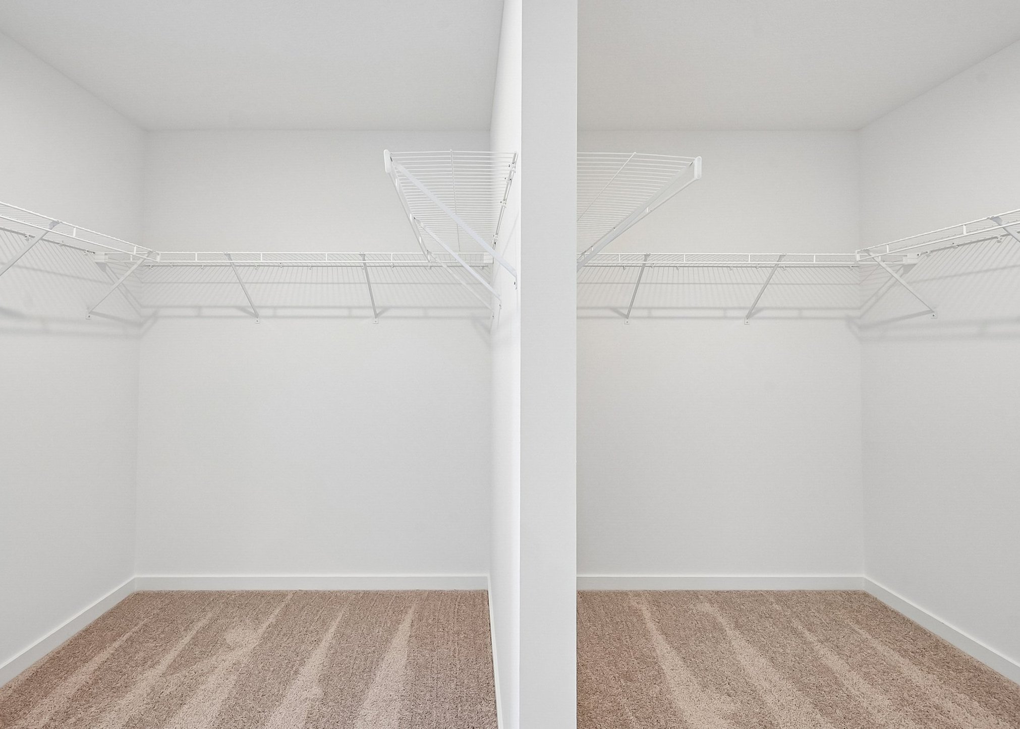 Empty closet space with white wire shelving and carpeted flooring.